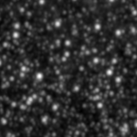 Survey preview for NGC 2043