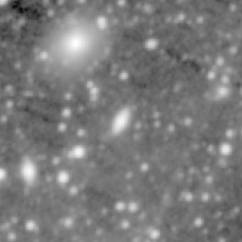 Survey preview for NGC 181