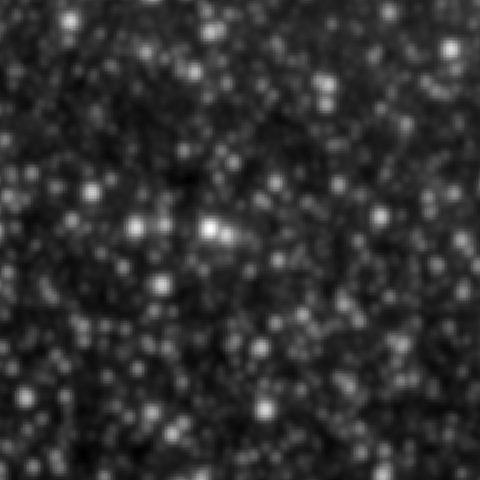 Survey preview for NGC 2046