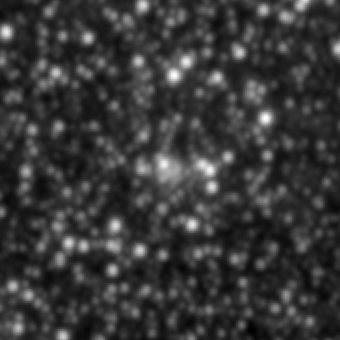 Survey preview for NGC 2058