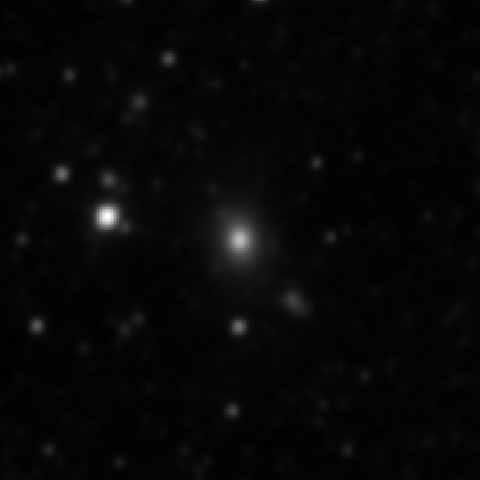 Survey preview for IC 775