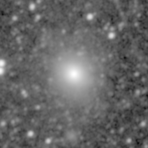 Survey preview for NGC 194