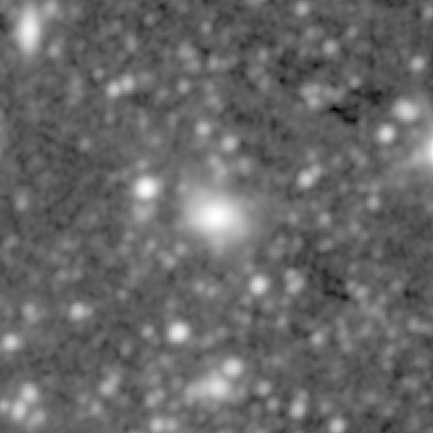 Survey preview for NGC 195