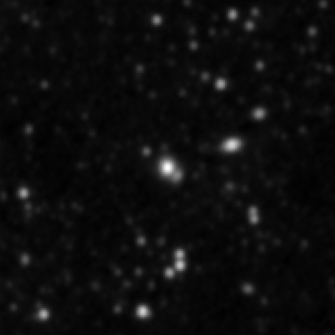 Survey preview for IC 919