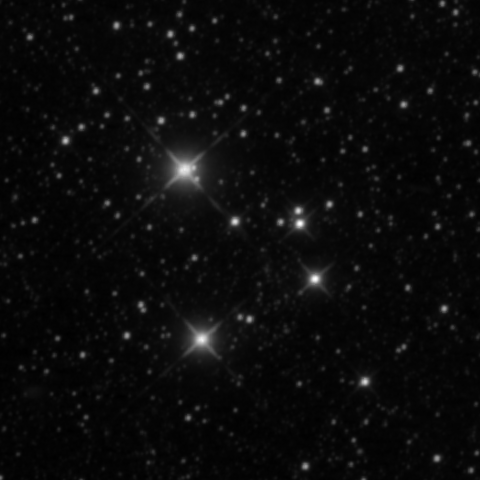Survey preview for NGC 2061