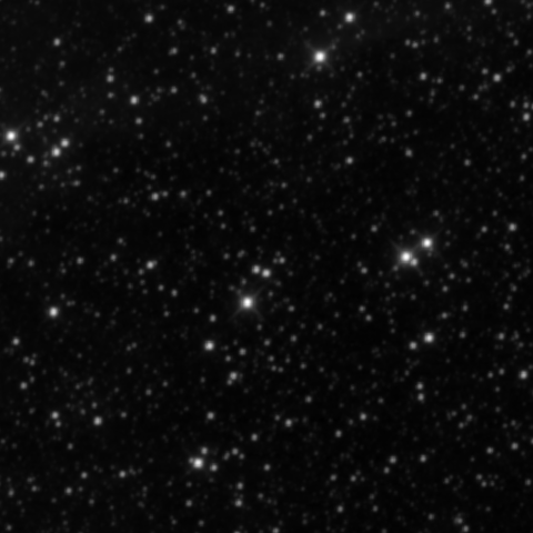 Survey preview for NGC 2063