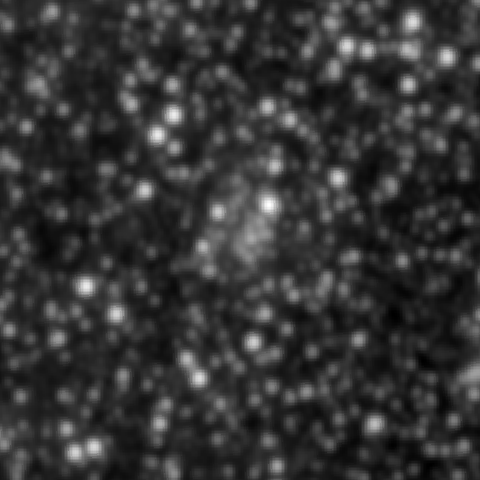 Survey preview for NGC 2065