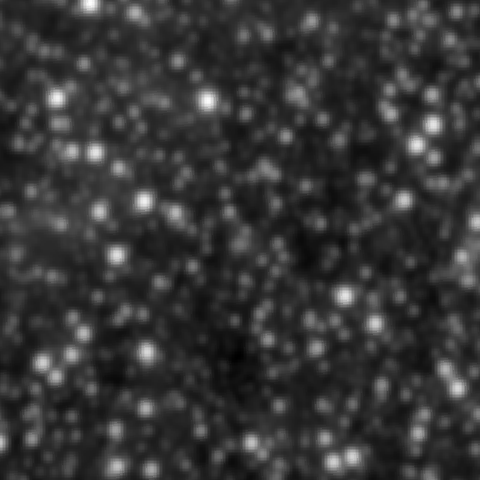 Survey preview for NGC 2072