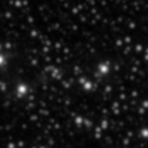 Survey preview for NGC 2095
