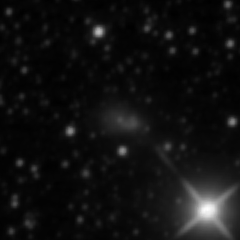 Survey preview for NGC 2101