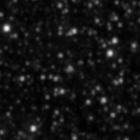 Survey preview for NGC 2116