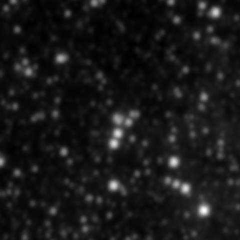 Survey preview for NGC 2118