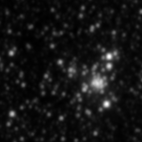 Survey preview for NGC 2137