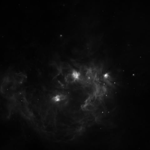 Survey preview for NGC 2174