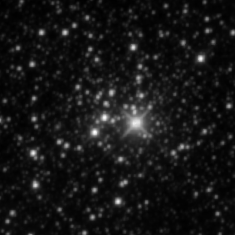 Survey preview for NGC 2194