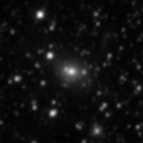 Survey preview for NGC 2205