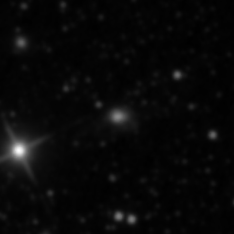 Survey preview for IC 954