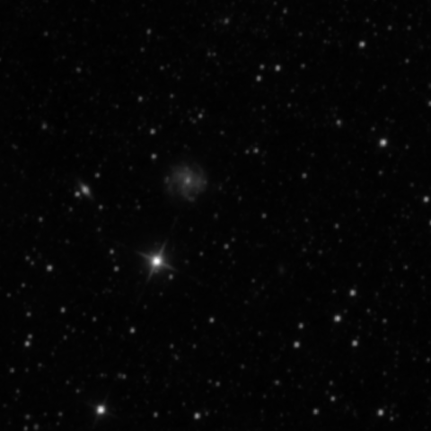 Survey preview for IC 973