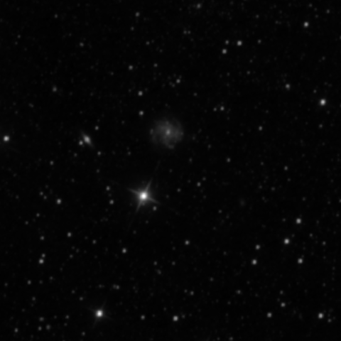 Survey preview for IC 974