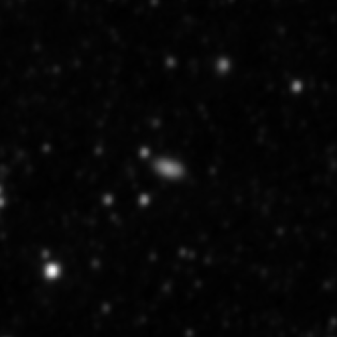 Survey preview for IC 981