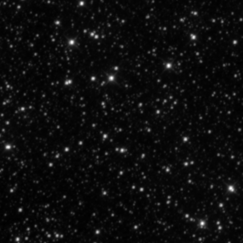 Survey preview for NGC 2224