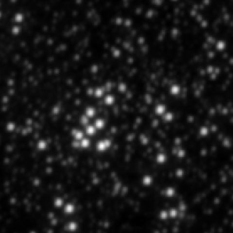 Survey preview for NGC 2236