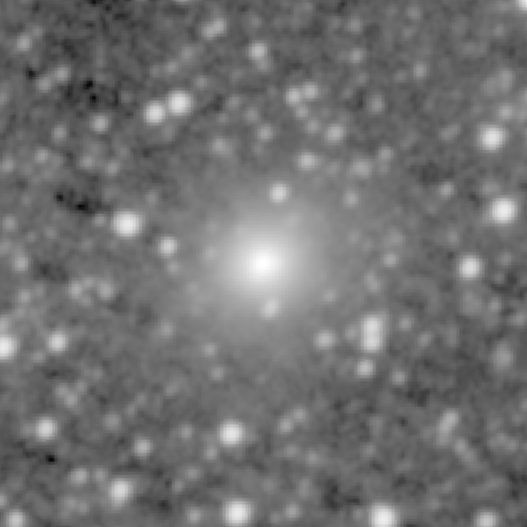 Survey preview for NGC 233