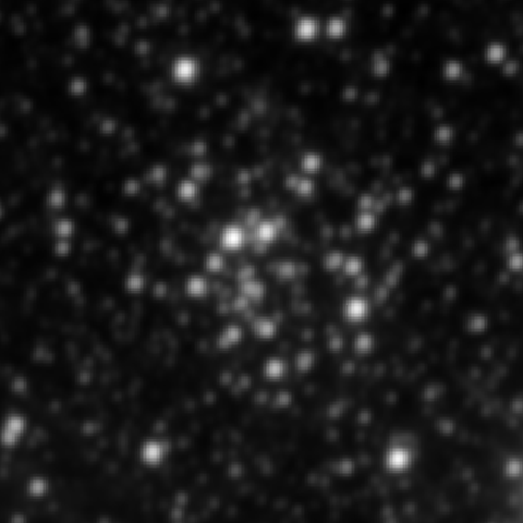 Survey preview for NGC 2262