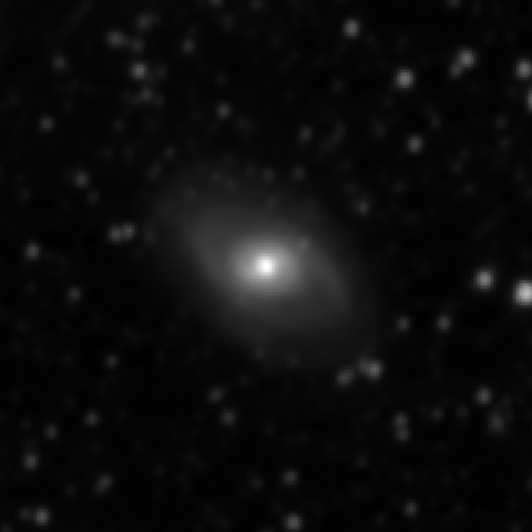 Survey preview for NGC 2273