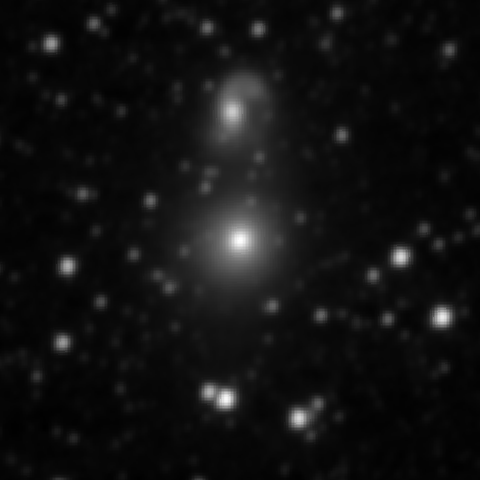 Survey preview for NGC 2274