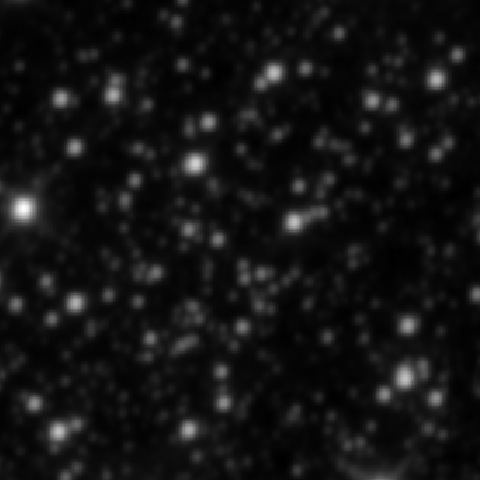 Survey preview for NGC 2286
