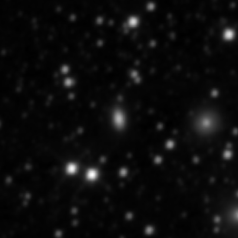 Survey preview for NGC 2294