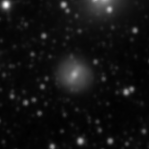 Survey preview for NGC 2307