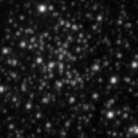 Survey preview for NGC 2309