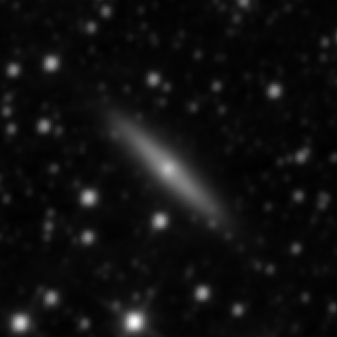 Survey preview for NGC 2310