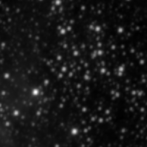 Survey preview for NGC 2311