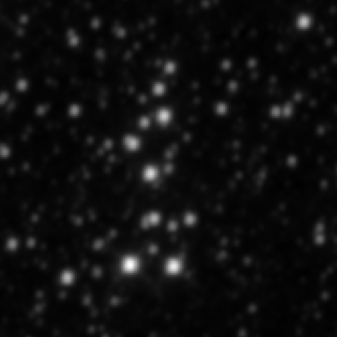 Survey preview for NGC 2312