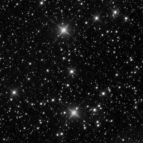 Survey preview for NGC 2313