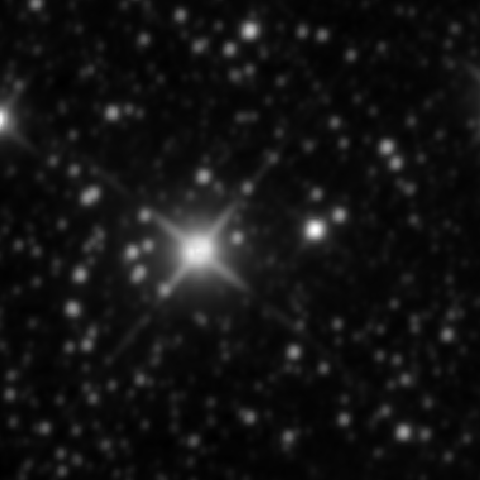 Survey preview for NGC 2319