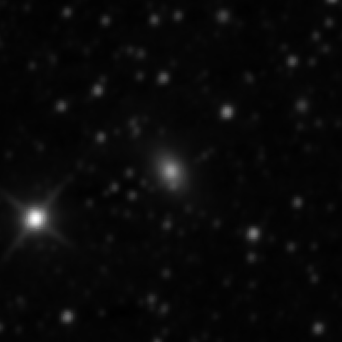 Survey preview for NGC 2333
