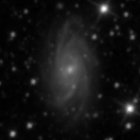 Survey preview for NGC 2336