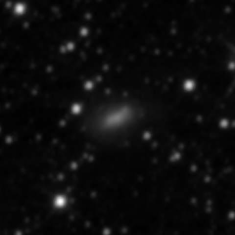 Survey preview for NGC 2337