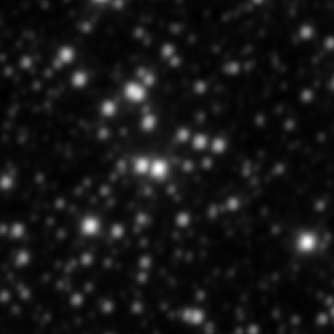Survey preview for NGC 2338