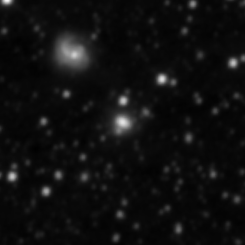 Survey preview for NGC 2341