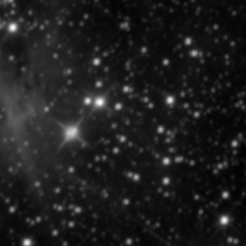 Survey preview for NGC 2343