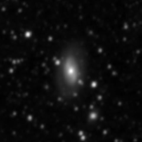 Survey preview for NGC 2365