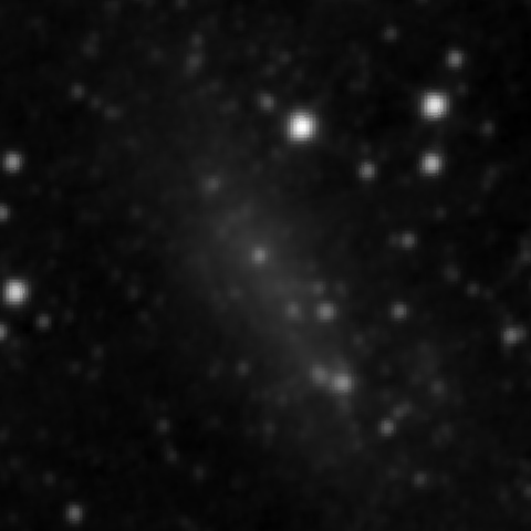 Survey preview for NGC 2366