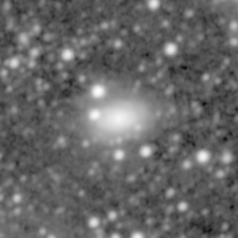 Survey preview for NGC 251