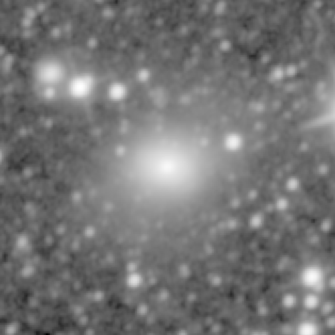Survey preview for NGC 252