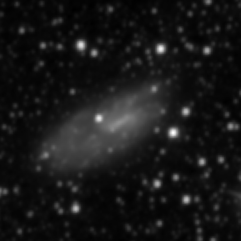 Survey preview for NGC 2427
